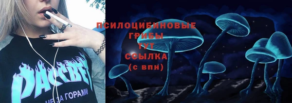 бошки Абинск