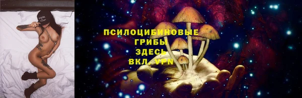бошки Абинск