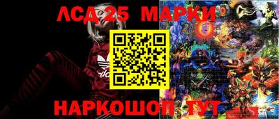 ешки Будённовск