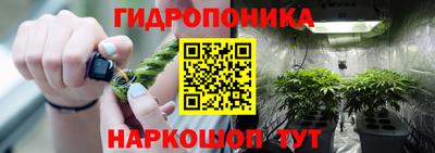 ешки Будённовск