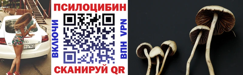 Псилоцибиновые грибы Cubensis Воронеж