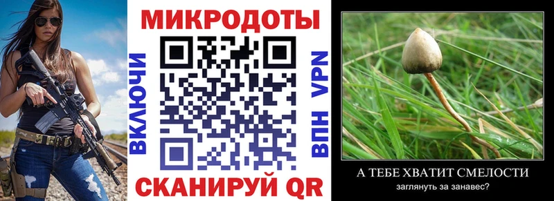 Галлюциногенные грибы Psilocybine cubensis  Воронеж 