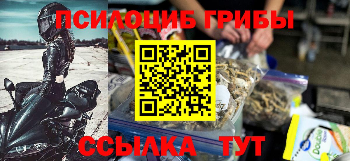 Галлюциногенные грибы мицелий Воронеж