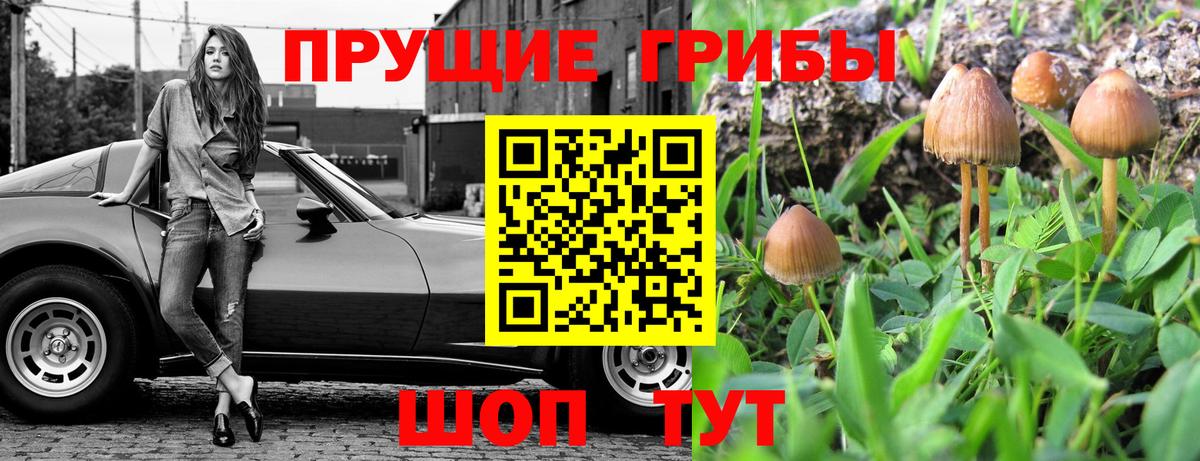 Галлюциногенные грибы Psilocybe  Псилоцибиновые грибы мицелий  Воронеж  Вход с VPN 